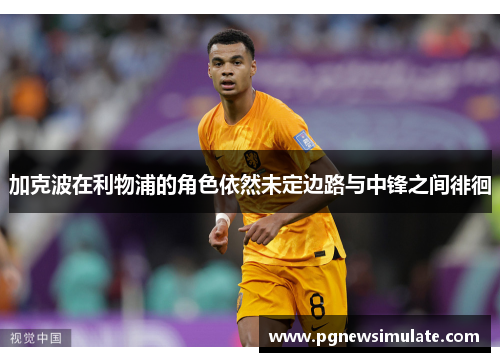 加克波在利物浦的角色依然未定边路与中锋之间徘徊